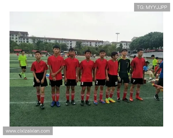 岳阳队足球崛起之路：从草根到职业的奋斗与突破
