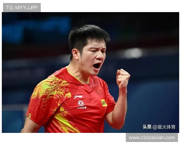 乒乓球的拼搏与荣耀：杭州乒乓球队奋斗历程的真实记录与回顾