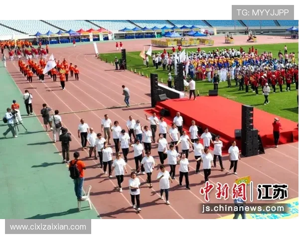 南京飞盘队灵活性分析与其他队伍的对比研究